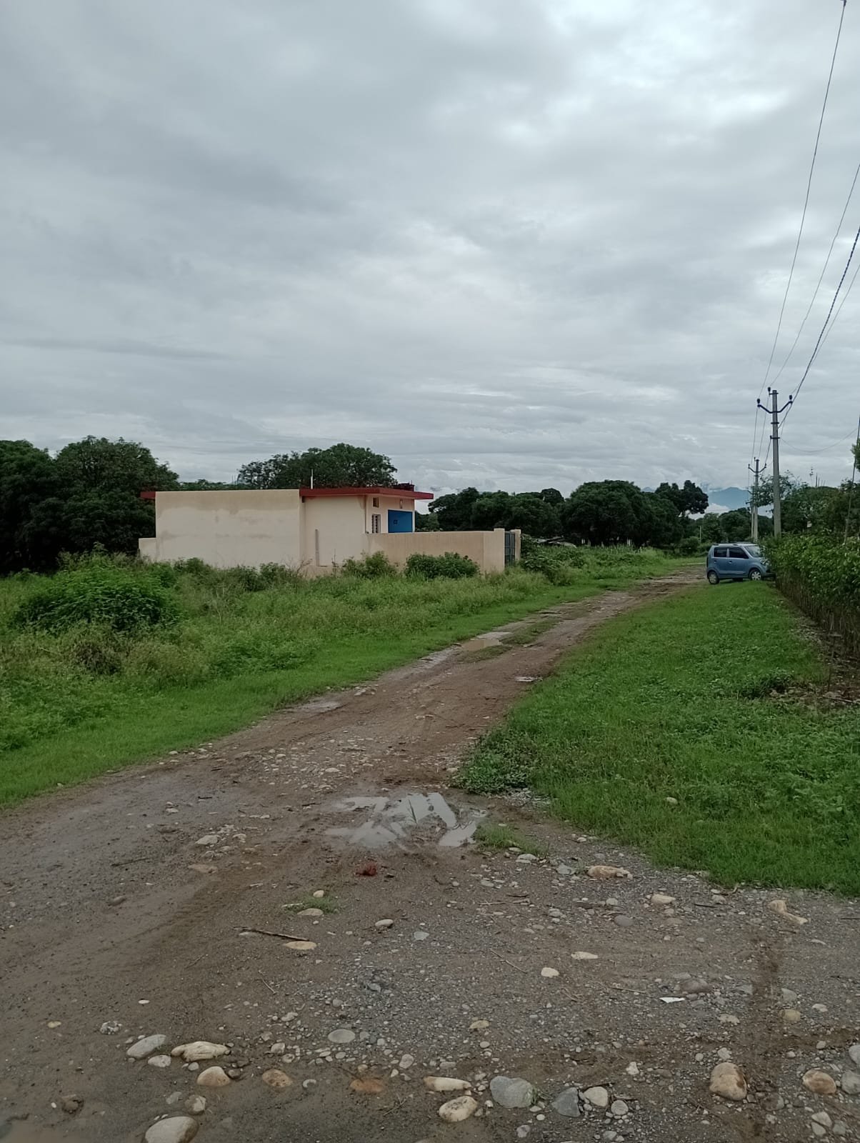 Premium Corner Estate Plot